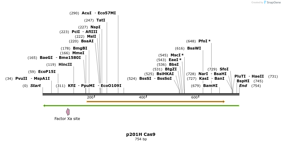 121241_map