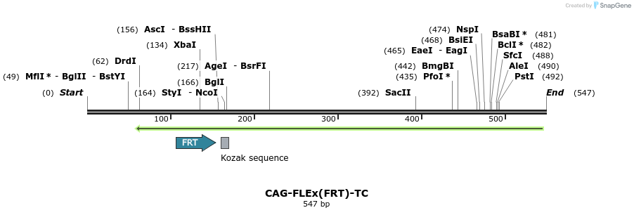 121245_map