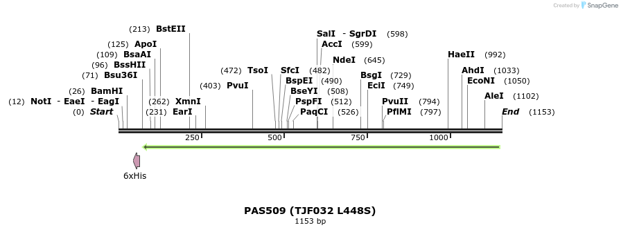 121247_map