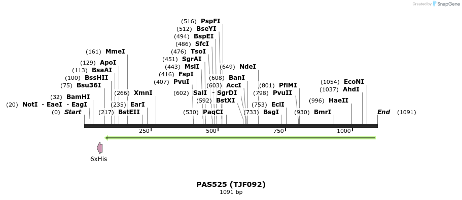 121252_map