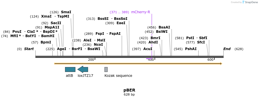121253_map