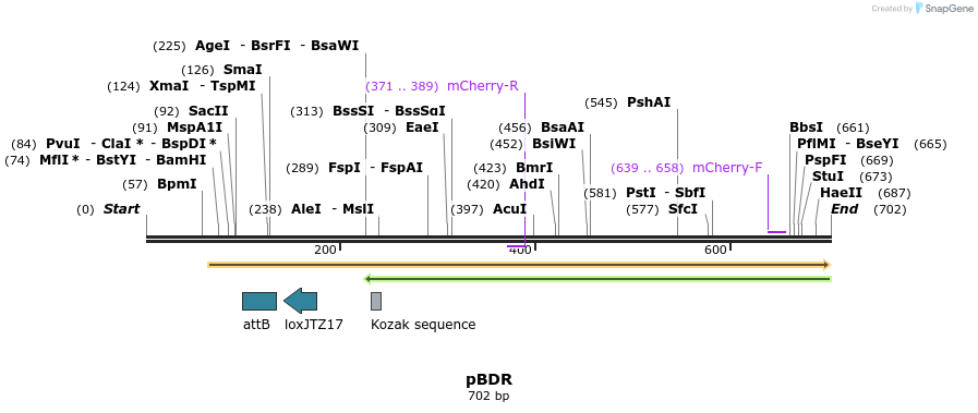 121254_map