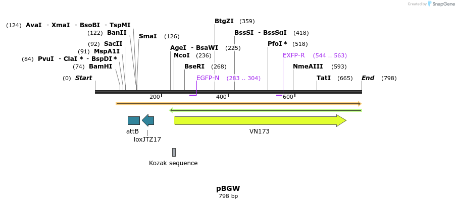 121255_map