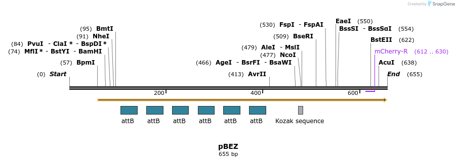 121257_map