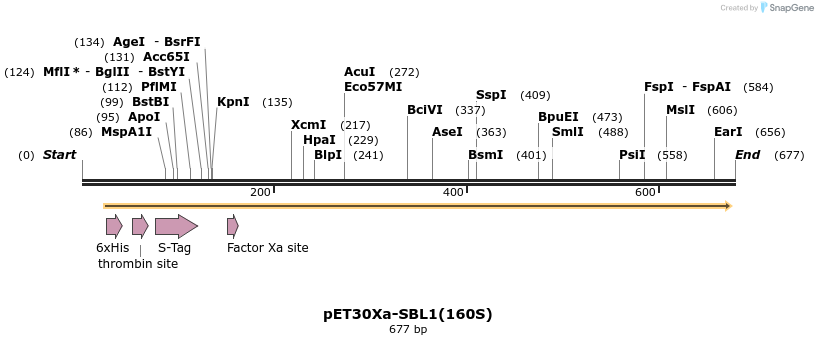 121261_map