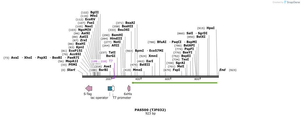 121262_map