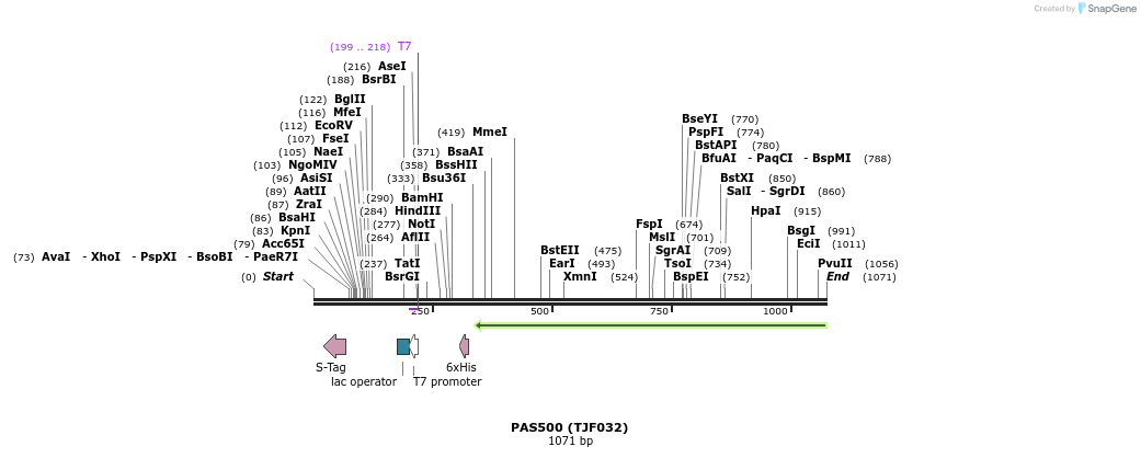121263_map