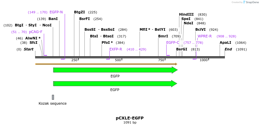 121267_map