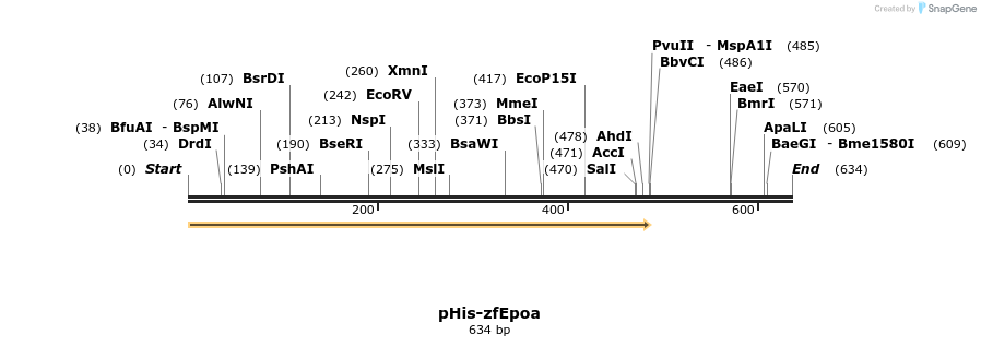 121268_map