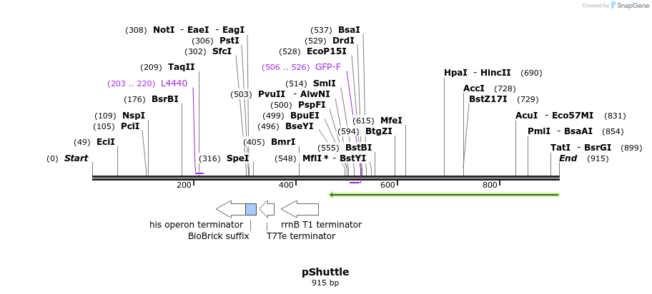 121274_map