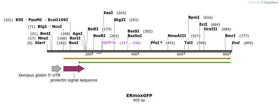 121278_map