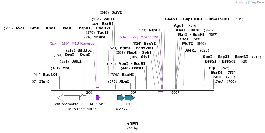 121286_map