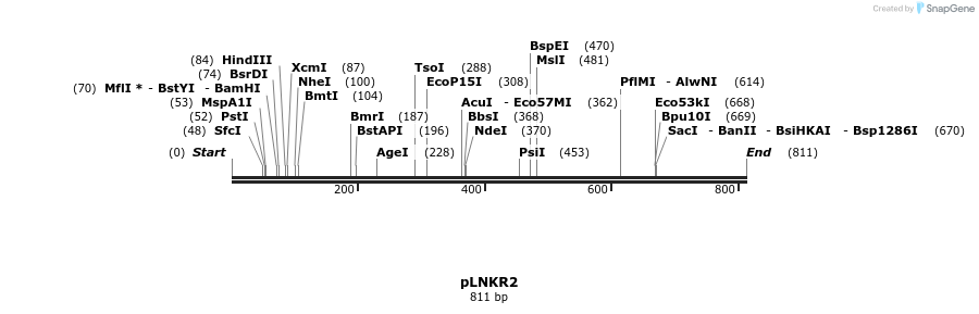 121289_map