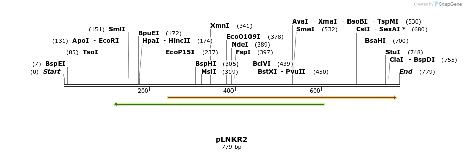 121290_map