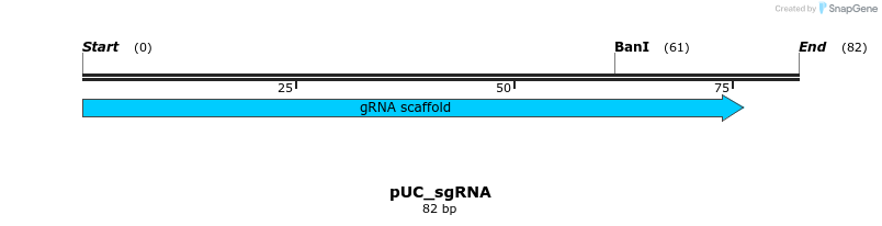 121302_map