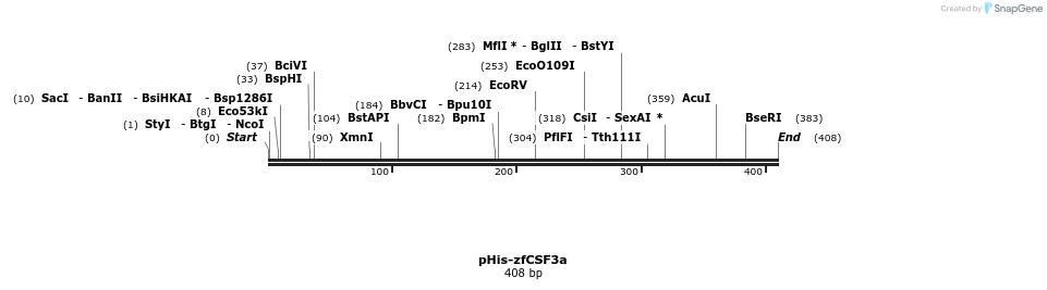 121306_map