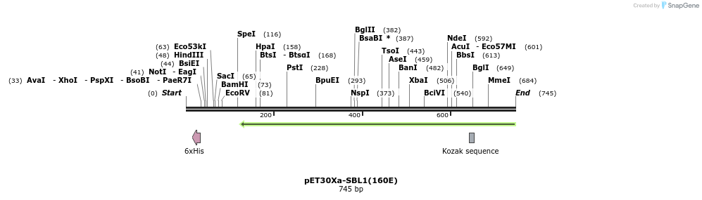 121310_map