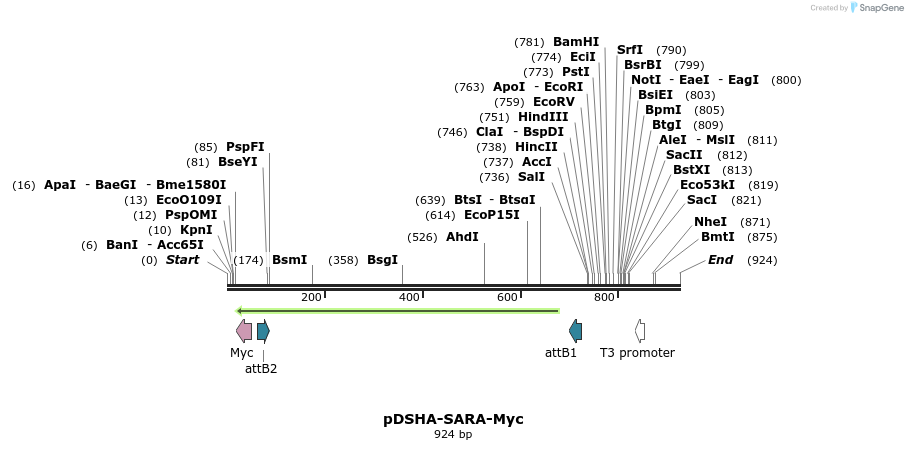 121313_map