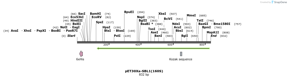 121314_map