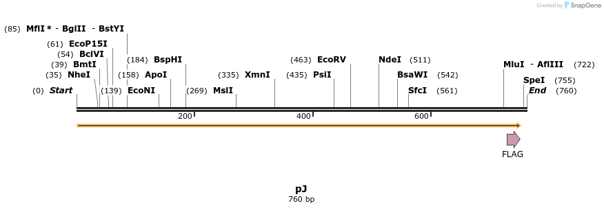 121318_map