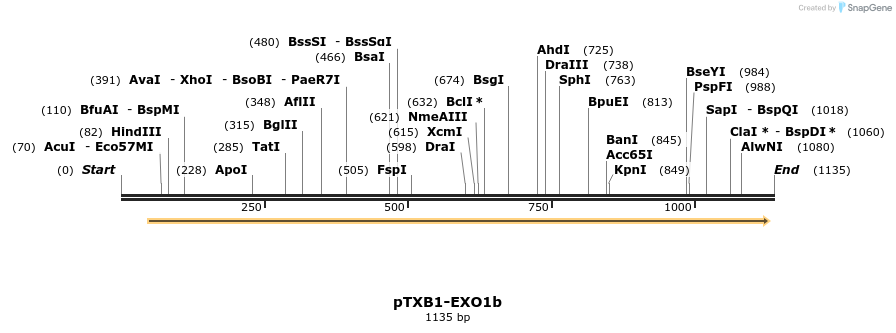 121326_map