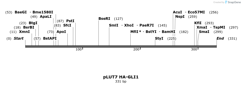 121328_map