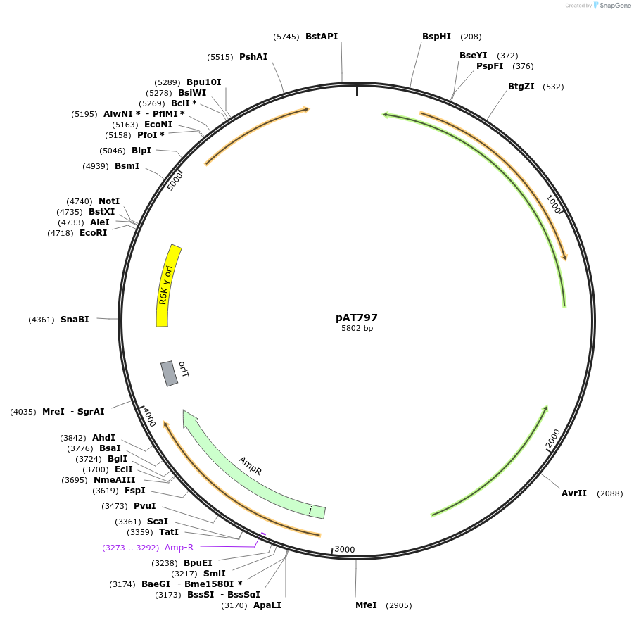 68930-plasmid-map-sequence-id-121330