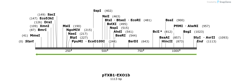 121335_map