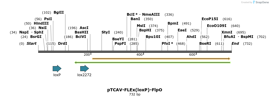 121344_map