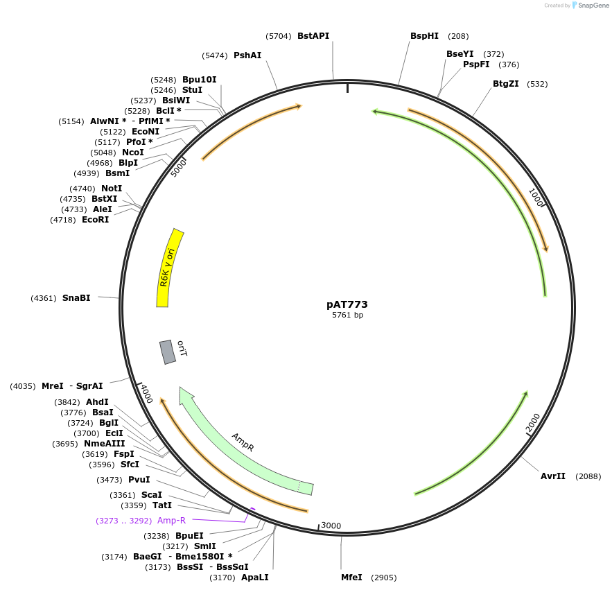 68941-plasmid-map-sequence-id-121351