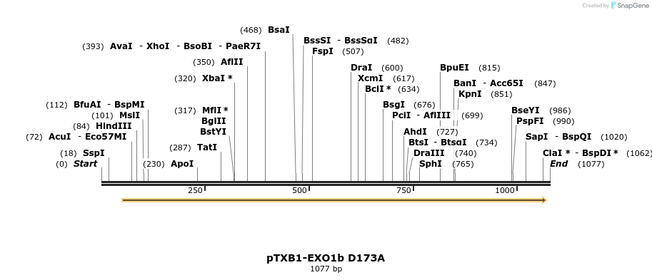 121358_map