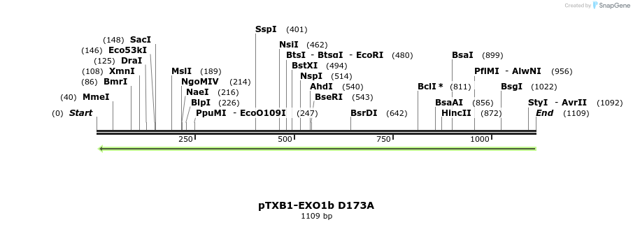 121360_map