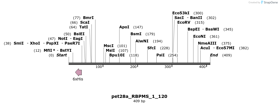 121398_map