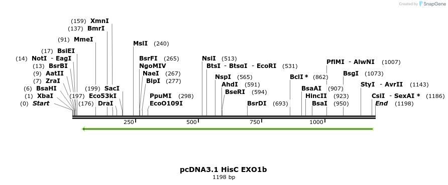 121401_map