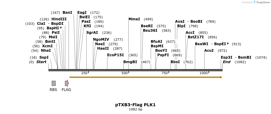 121404_map