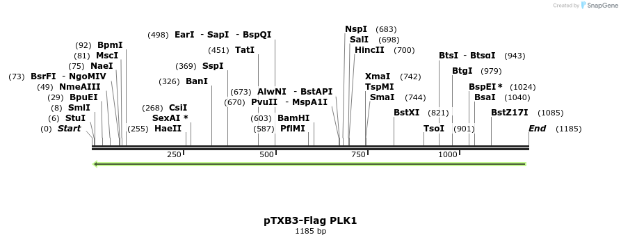 121408_map