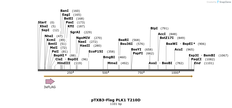 121410_map