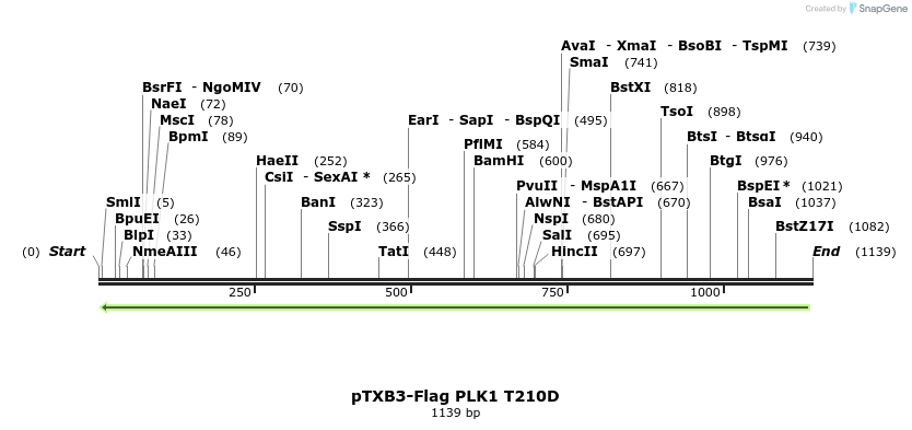 121411_map