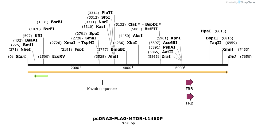 121412_map