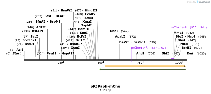 121425_map