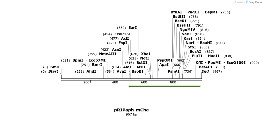121430_map