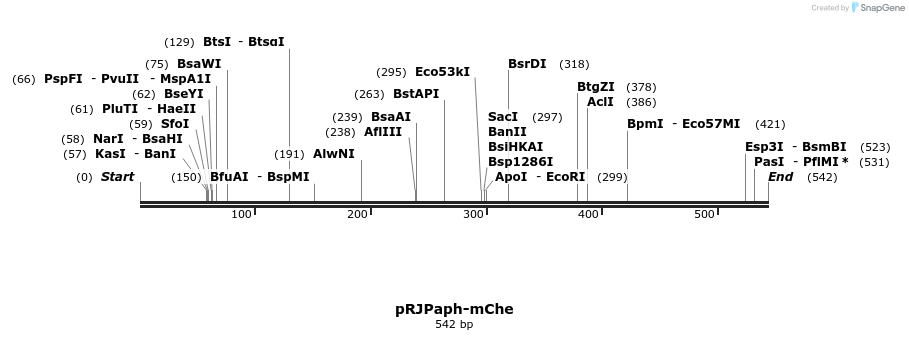 121431_map