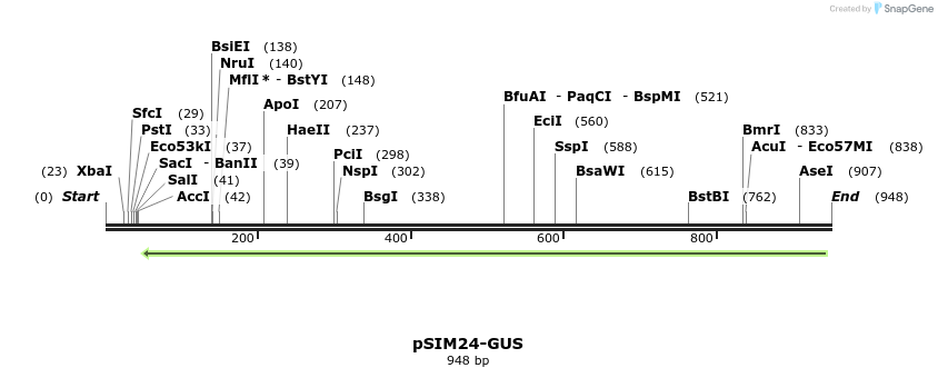 121436_map