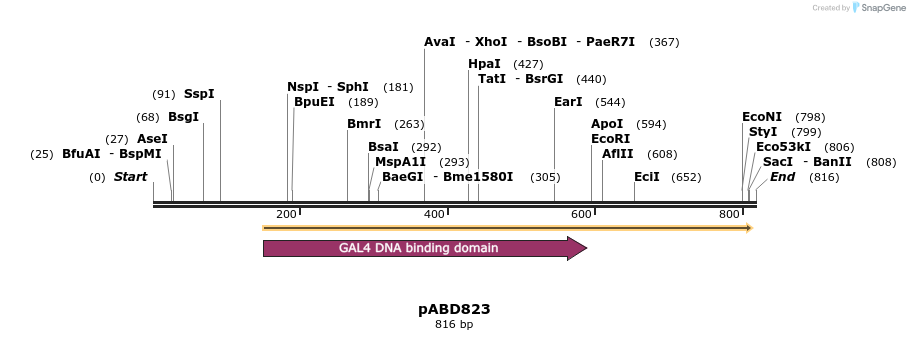 121438_map