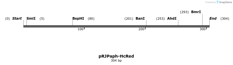 121439_map