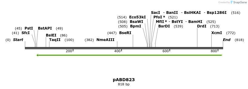 121440_map