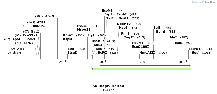 121441_map