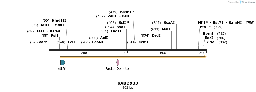 121442_map