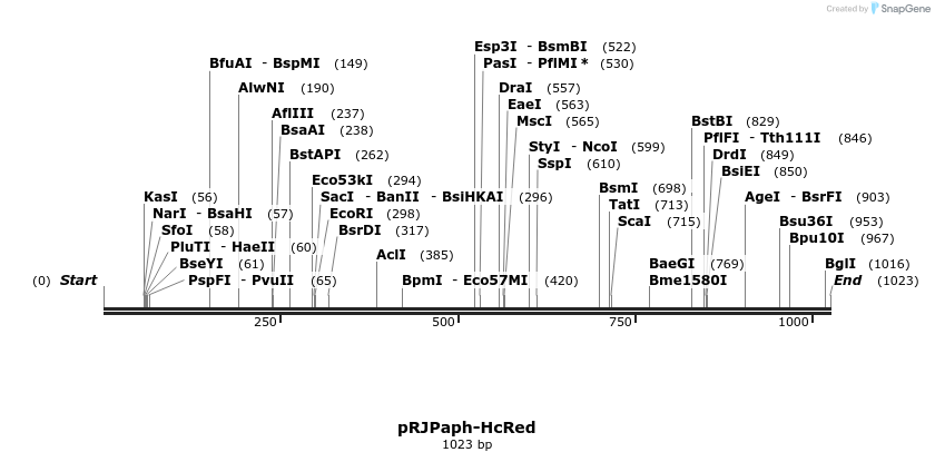 121443_map