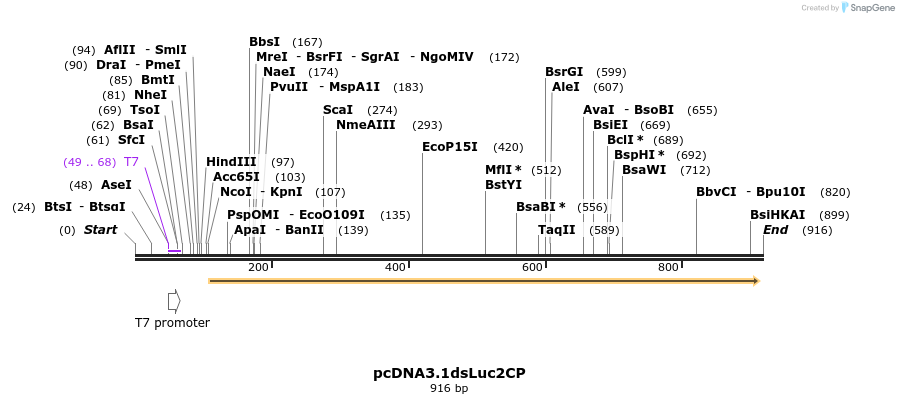 121444_map